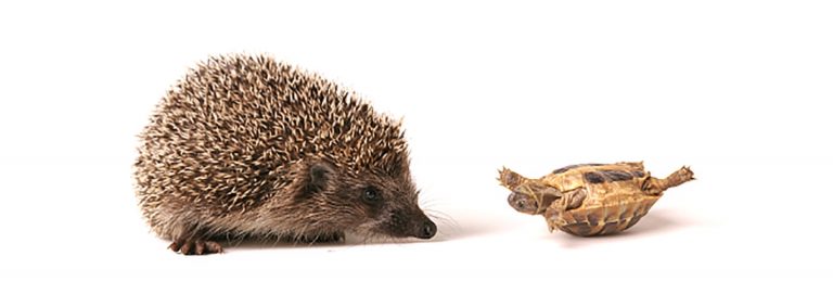 Individuelle Gesundheitsleistungen