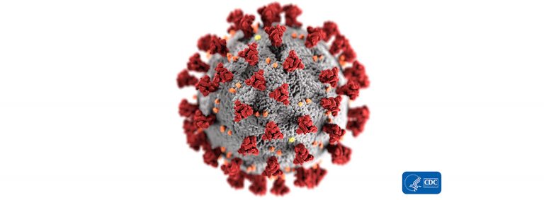 AKTUELLE INFORMATION ZUM CORONAVIRUS