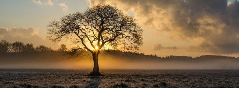 Herbsturlaub DIE PRAXIS Bad Harzburg