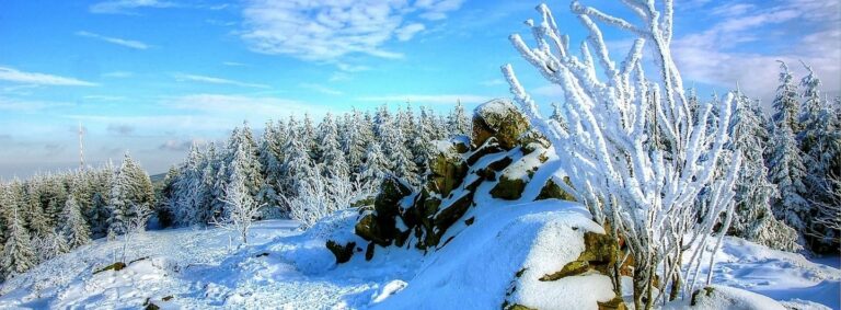 Urlaub DIE PRAXIS Bad Harzburg