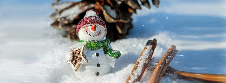 Weihnachtsurlaub DIE PRAXIS Bad Harzburg