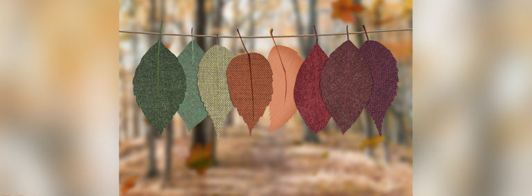 Herbsturlaub DIE PRAXIS Bad Harzburg