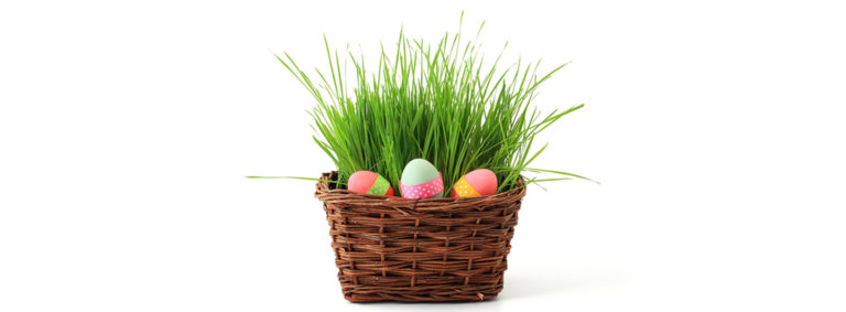 Osterurlaub DIE PRAXIS Bad Harzburg