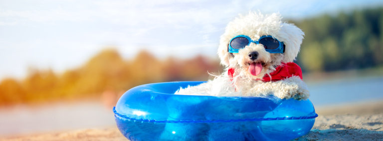 Sommerurlaub DIE PRAXIS Bad Harzburg