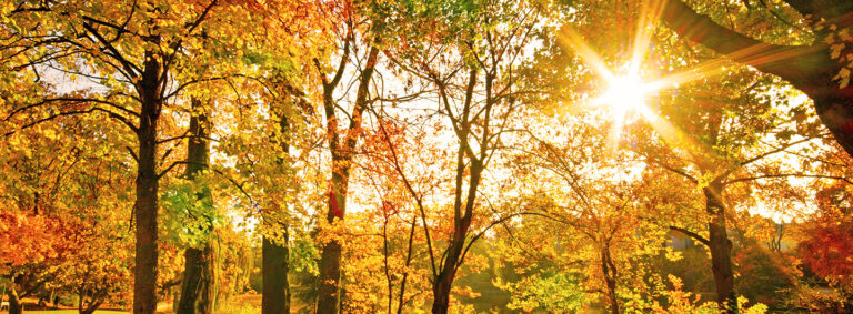 Herbstferien DIE PRAXIS Bad Harzburg