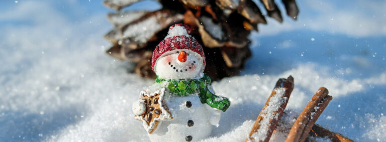 Weihnachtsurlaub 2023 DIE PRAXIS Bad Harzburg