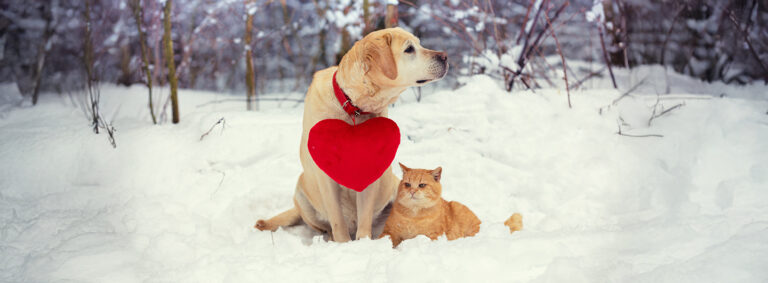 Weihnachtsurlaub 2024