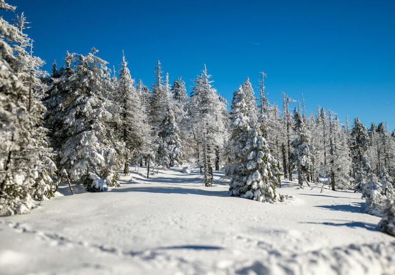 Winterurlaub DIE PRAXIS Bad Harzburg